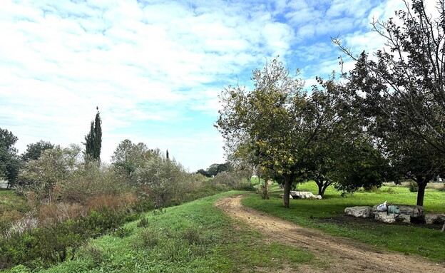 נחל חביבה שלוליות וילדים  (צילום: מירב טלמור-קשי)