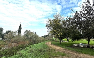 נחל חביבה שלוליות וילדים  (צילום: מירב טלמור-קשי)