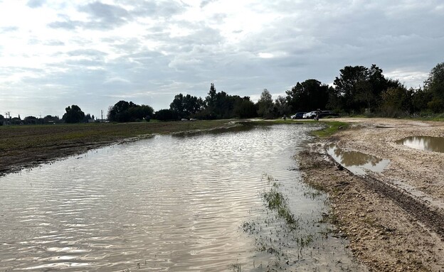 שלולית גדולה נחל חביבה 