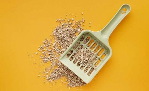 חול לחתולים בארגז ורוד על רקע ורוד עם כפה לבנה של 