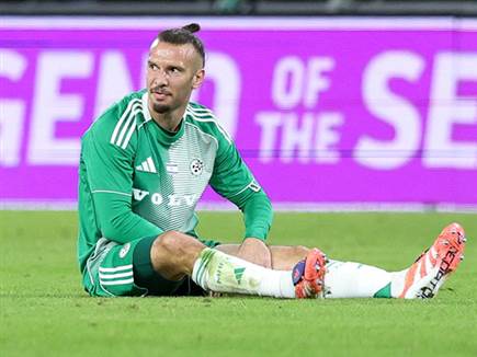 (צילום: אלן שיבר)