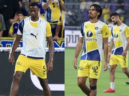 (צילום: אלן שיבר)