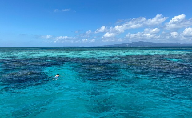 מים ים טורקיז מיוט חוף 