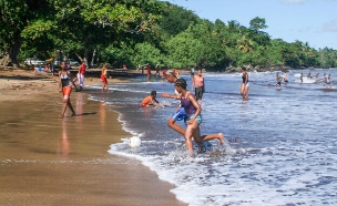 מיוט חוף  (צילום: Stefano Ember, shutterstock)