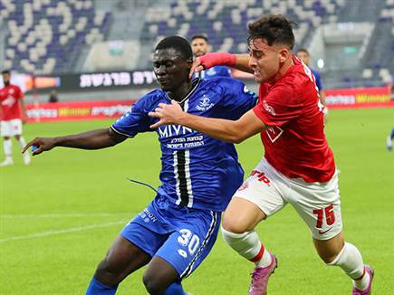 (צילום: אודי ציטיאט)