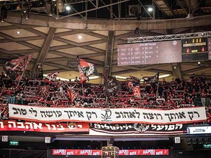 (אלן שיבר) (צילום: ספורט 5)