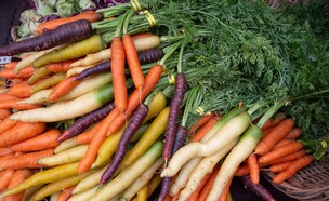 גזרים (צילום: שאטרסטוק)