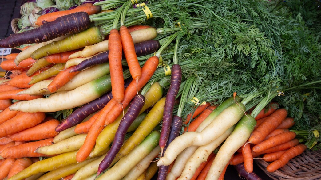 גזרים גזרים