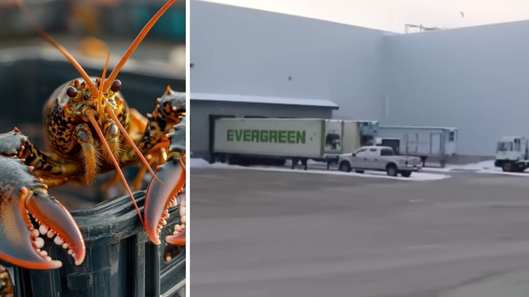 שוד הלובסטרים