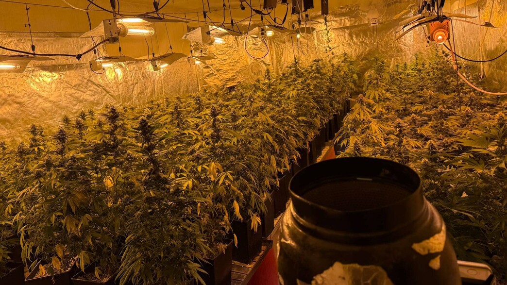 הסמים שנתפסו באשקלון הסמים שנתפסו באשקלון