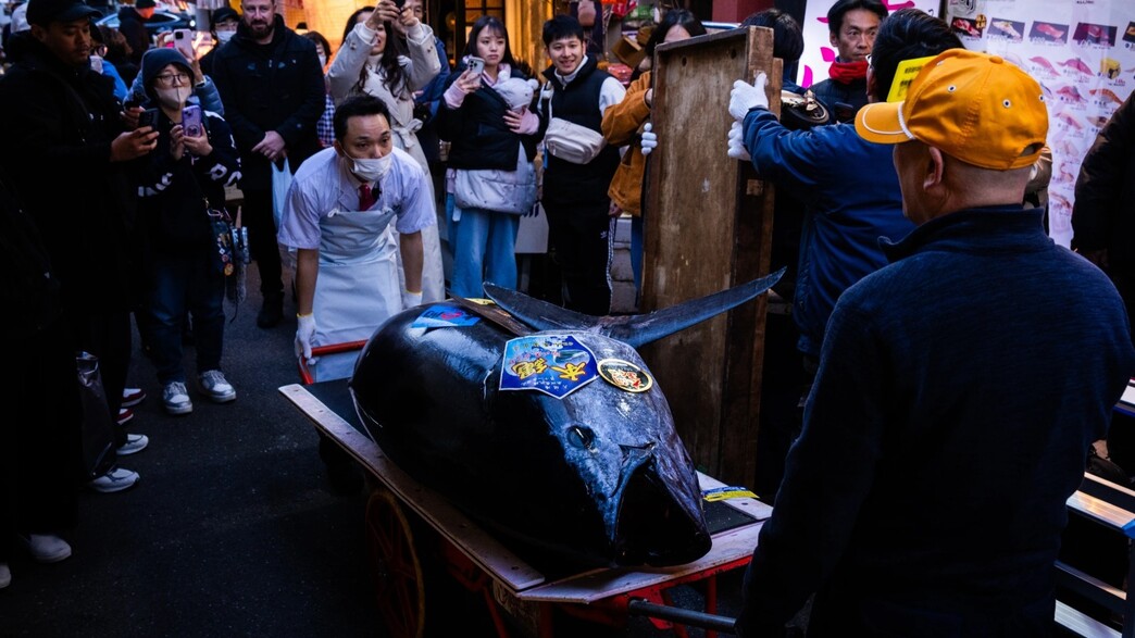 דג טונה נמכר ביפן במחיר שיא של 3.2 מיליון דולר