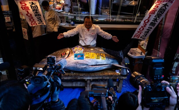 דג טונה נמכר ביפן במחיר שיא של 3.2 מיליון דולר