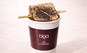 שוקו פרלינים עשיר עם שוקולד חלב, קקאו וקרם חלב (צילום: שלו טולדנו, יחסי ציבור)