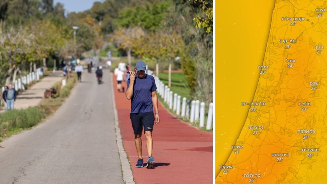 תחזית תחזית