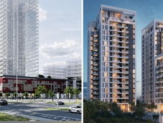 פרויקטים חדשים