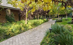 מלון איילה (צילום: אורלי גנוסר)