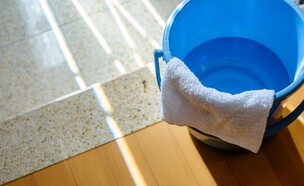 ריחות בבית  (צילום: shutterstock)