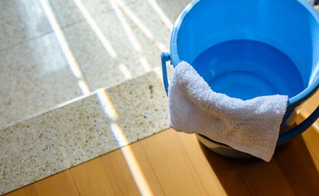 ריחות בבית  (צילום: shutterstock)