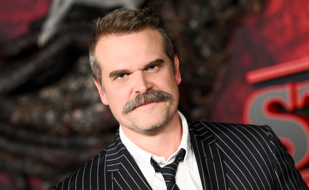 דיוויד הרבור (צילום: Michael Buckner, Variety via Getty Images)
