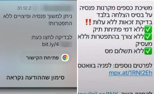 הצעות למשיכת כסף מהפנסיה (צילום: צילום מסך)