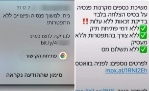 הצעות למשיכת כסף מהפנסיה (צילום: צילום מסך)