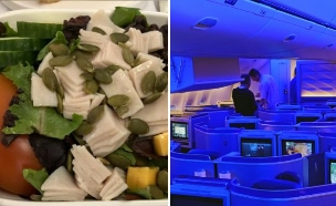 אוכל מחלקה ראשונה יונייטד איירליינס (צילום: shutterstock | EQRoy, לפי סעיף 27א' לחוק זכויות יוצרים)