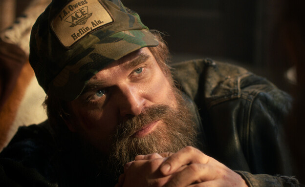 דיוויד הארבור (צילום: Netflix)