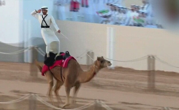 מרוץ הגמלים היוקרתי בדובאי