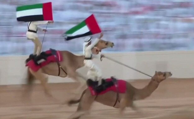 מרוץ הגמלים היוקרתי בדובאי