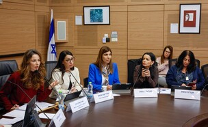 מירב כהן, שרון ניר, יסמין פרידמן ומטי צרפתי הרכבי (צילום: נועם מושקוביץ, דוברות הכנסת)