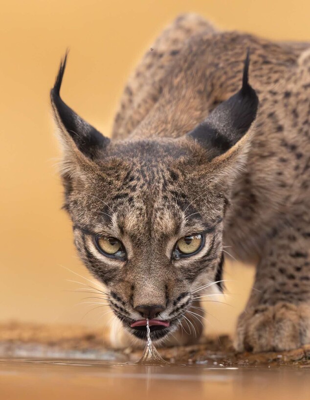 התמונות הכי יפות 2026