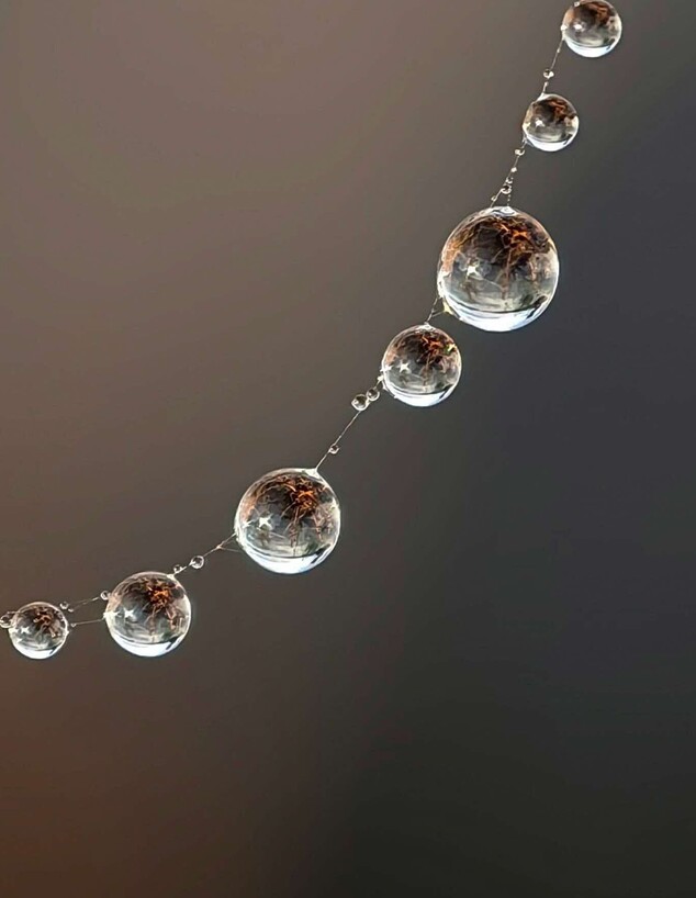 התמונות הכי יפות 2026