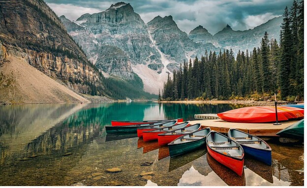 התמונות הכי יפות 2026 - התמונה הזוכה