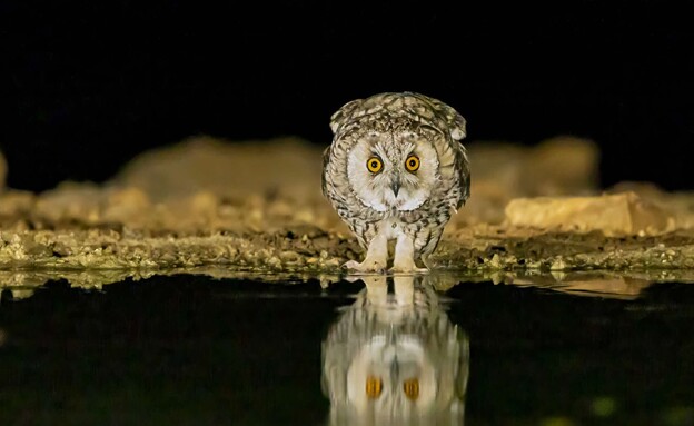 התמונות הכי יפות 2026