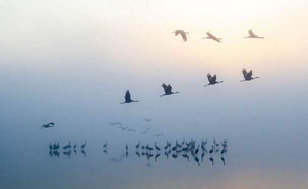 התמונות הכי יפות 2026