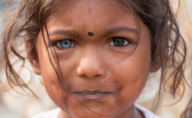 התמונות הכי יפות 2026