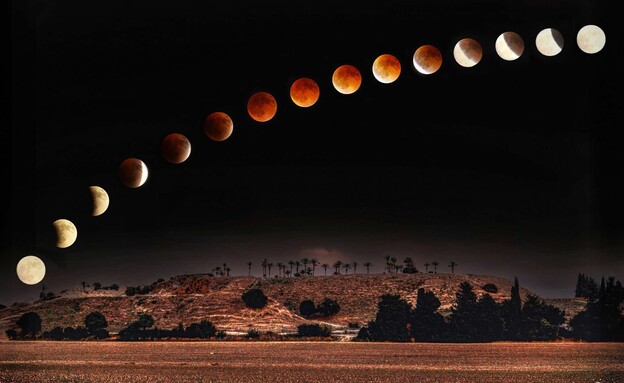 התמונות הכי יפות 2025