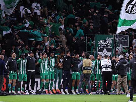 (מאור אלקסלסי)