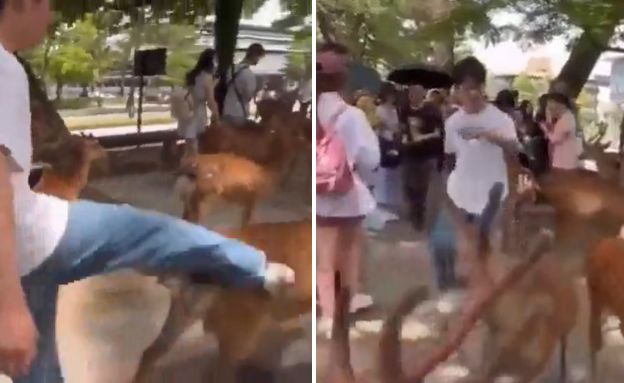 תייר ביפן בועט באייל נארה 