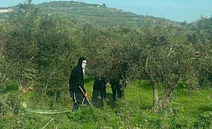 עשרות פורעים הציתו רכב בכפר ליד השומרון