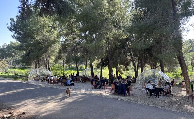 עגלת קפה ישיבה יער ראש העין