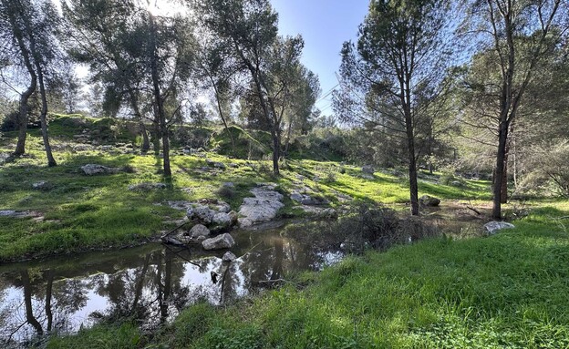 יער ראש העין נחל