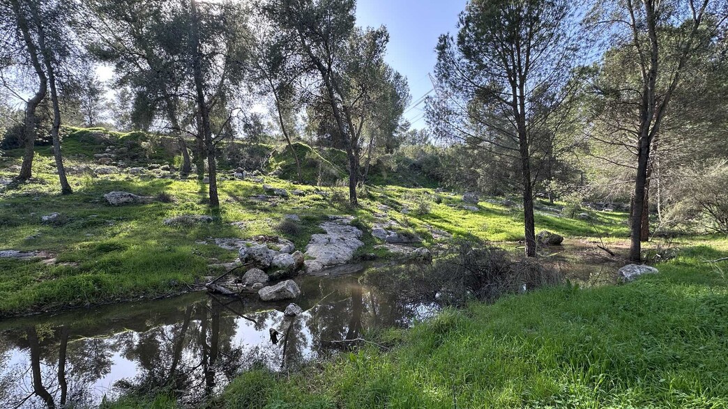 יער ראש העין נחל
