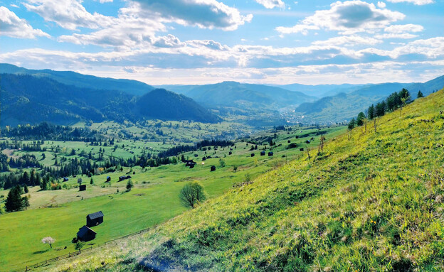 נוף ירוק בוקובינה