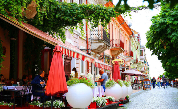 צ'רנוביץ בוקובינה אוקראינה רומניה (צילום: Elena Ska, shutterstock)