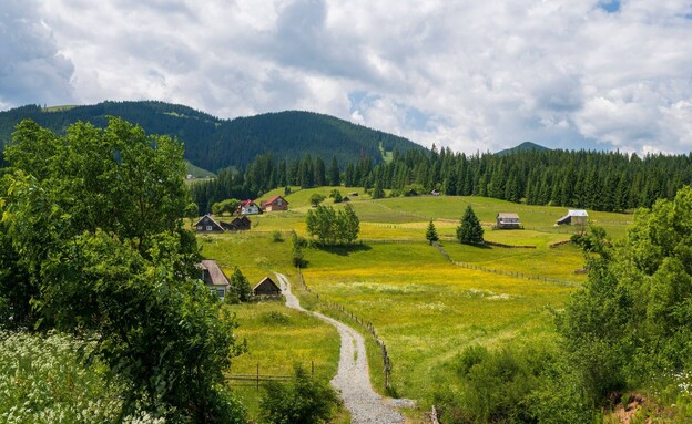 עצים מולדובה בוקובינה
