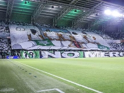 sportFive1655933 (צילום: ספורט 5)