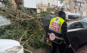 עץ קרס בבני ברק (צילום: תיעוד מבצעי מד"א)