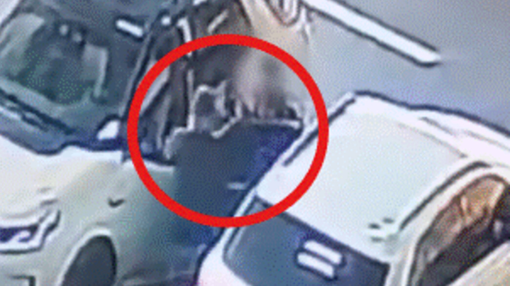 החטיפה בברזיל