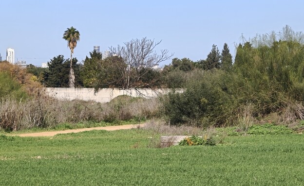 תמונות מאופו פיינד 9X